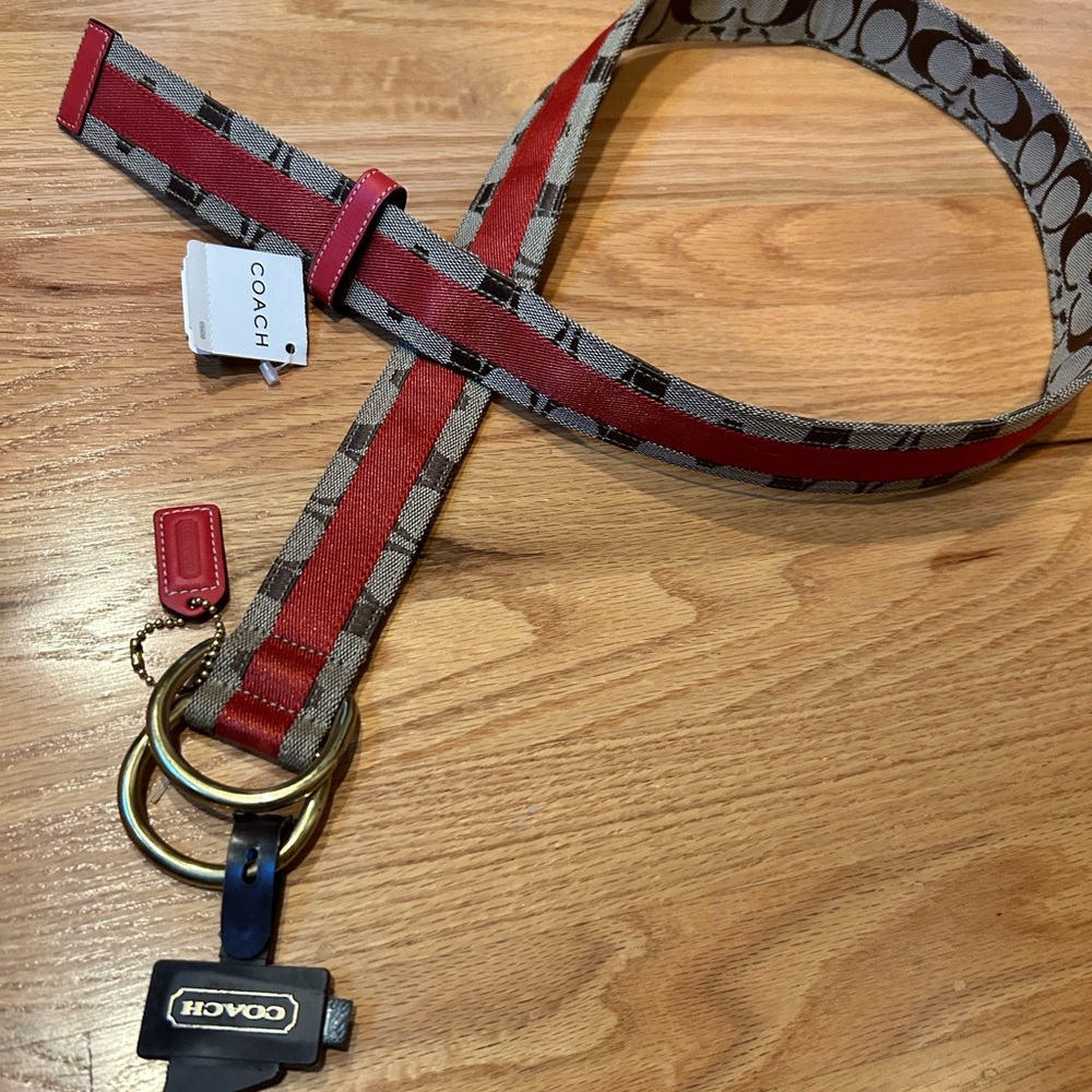 Coach belt